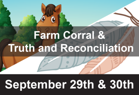 Fundaze - Farm Corral & Truth and Reconciliation